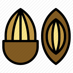 <em>杏仁</em>