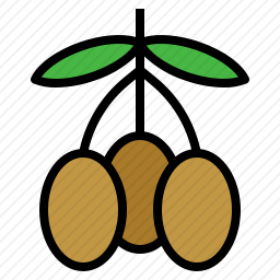 橄榄