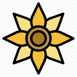 向日葵