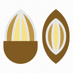<em>杏仁</em>