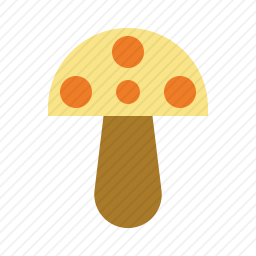 蘑菇