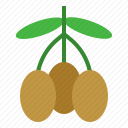<em>橄榄</em>