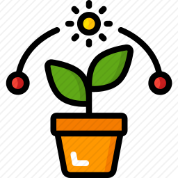 植物