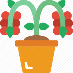 植物