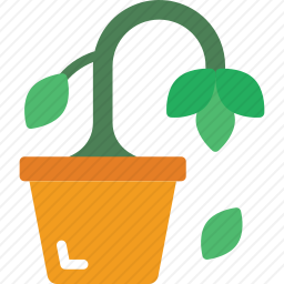 <em>植物</em>