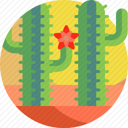 仙人掌