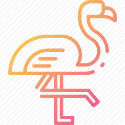 <em>火烈鸟</em>