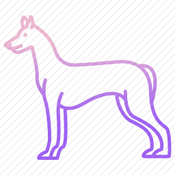 法老猎犬
