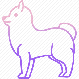 博美犬