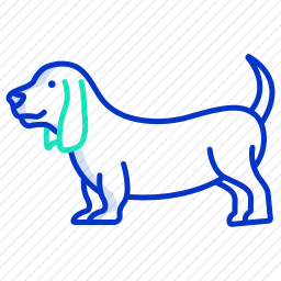 巴吉度猎犬