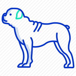 斗牛犬