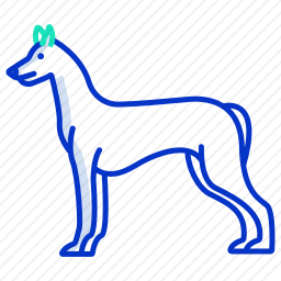 法老猎犬