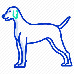 指针