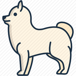 博美犬