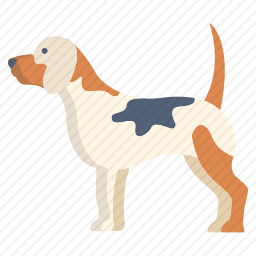 比格犬