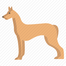 法老猎犬