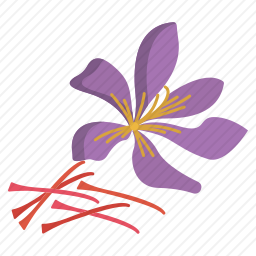 藏红花