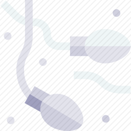 <em>精子</em>