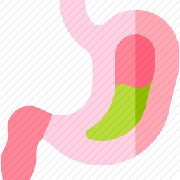 胃