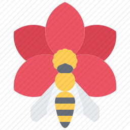 <em>蜜蜂</em>