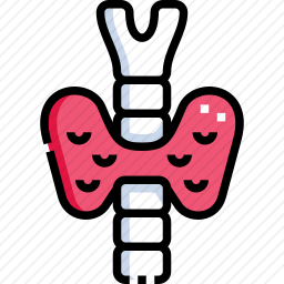 <em>内分泌系统</em>