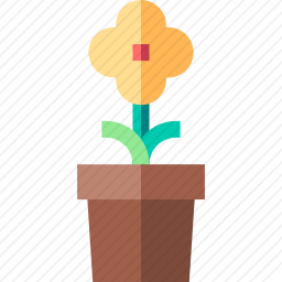 植物