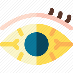 眼睛