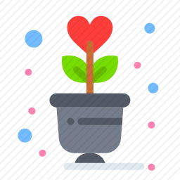 植物