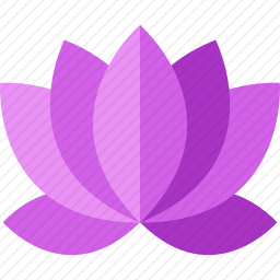 莲花