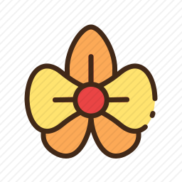 <em>兰花</em>