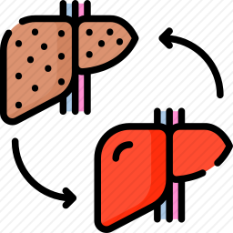 <em>移植</em>