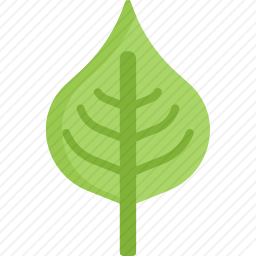 <em>叶子</em>