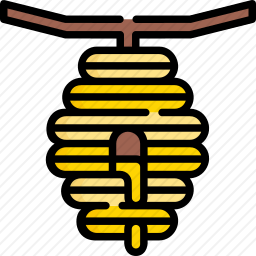 蜂窝