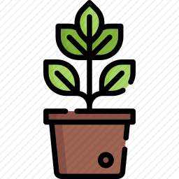 <em>植物</em>