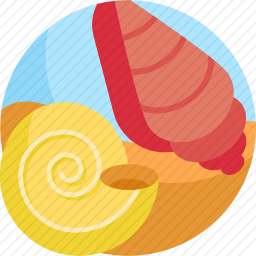 贝壳