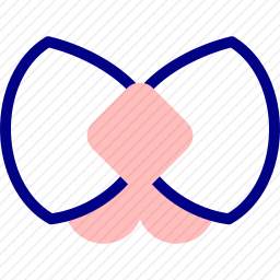 蝴蝶结