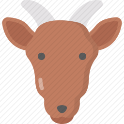 山羊