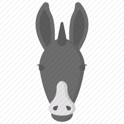 驴