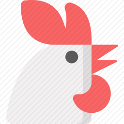 公鸡