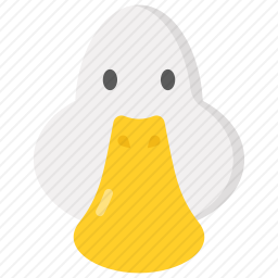 鸭子