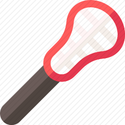 <em>曲棍球</em>