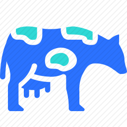 奶牛