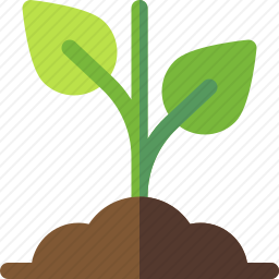 植物