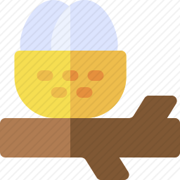 鸟