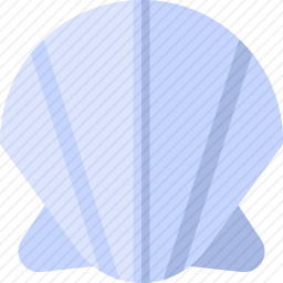 贝壳