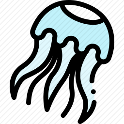 水母