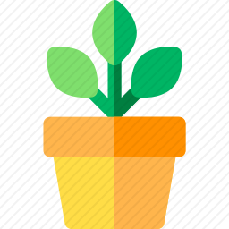 植物