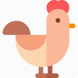 鸡
