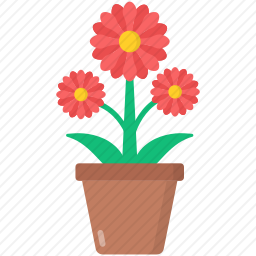 <em>菊花</em>