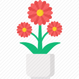 花盆